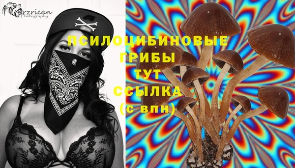 каннабис Заводоуковск